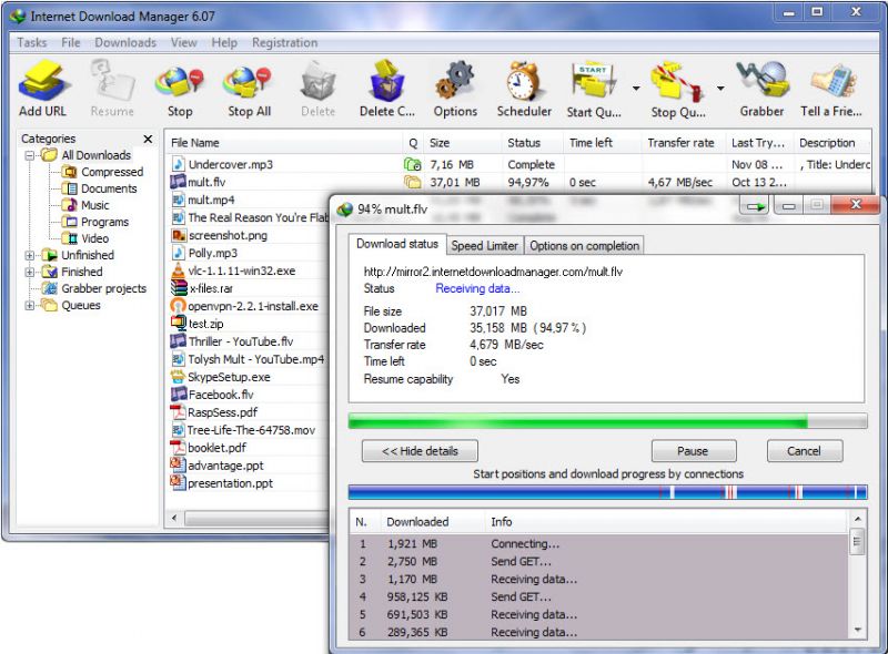 Internet Download Manager